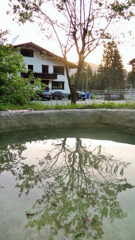 Dreimaederlhaus Am Berg Apartman Pfronten Szoba fotó